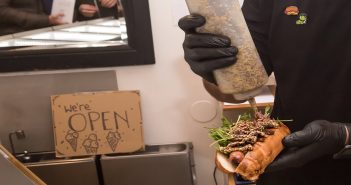 Kimbo Dogs - Pop Up Store