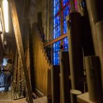Stephansdom