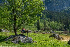 Seewiese Altaussee