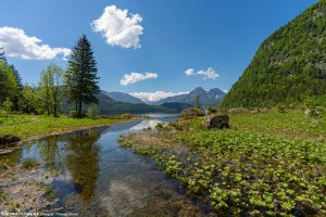 Seewiese Altaussee