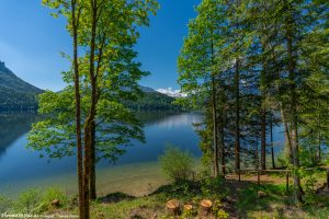 Seewiese Altaussee