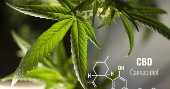 Cannabis vom Hippie-Kraut zur medizinischen Wunderpflanze
